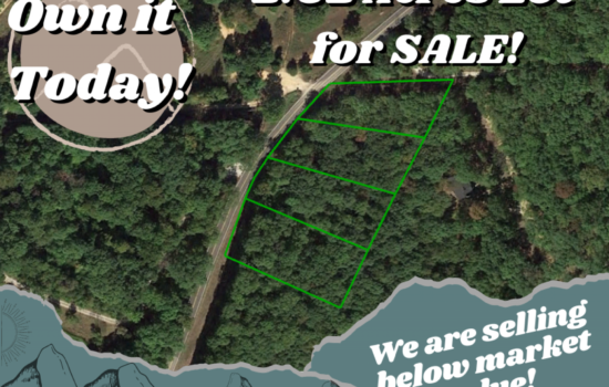 4 Lots Near the Lake! Priced to Go Fast!